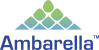 Ambarella logo